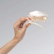 Load image into Gallery viewer, Satin Rosette Medium Flat Cloud Clip - Cream