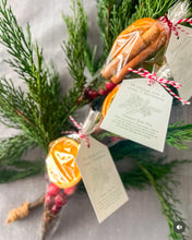 Load image into Gallery viewer, Simmer and Scent Kit