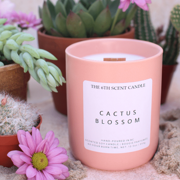 CACTUS BLOSSOM SOY CANDLE