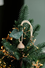 Load image into Gallery viewer, Hanging Car Diffuser- Winter Forest
