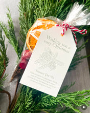 Load image into Gallery viewer, Simmer and Scent Kit
